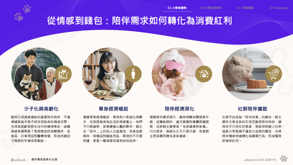 陪伴經濟